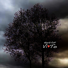 Cover - Vi To - Henrik Volf 